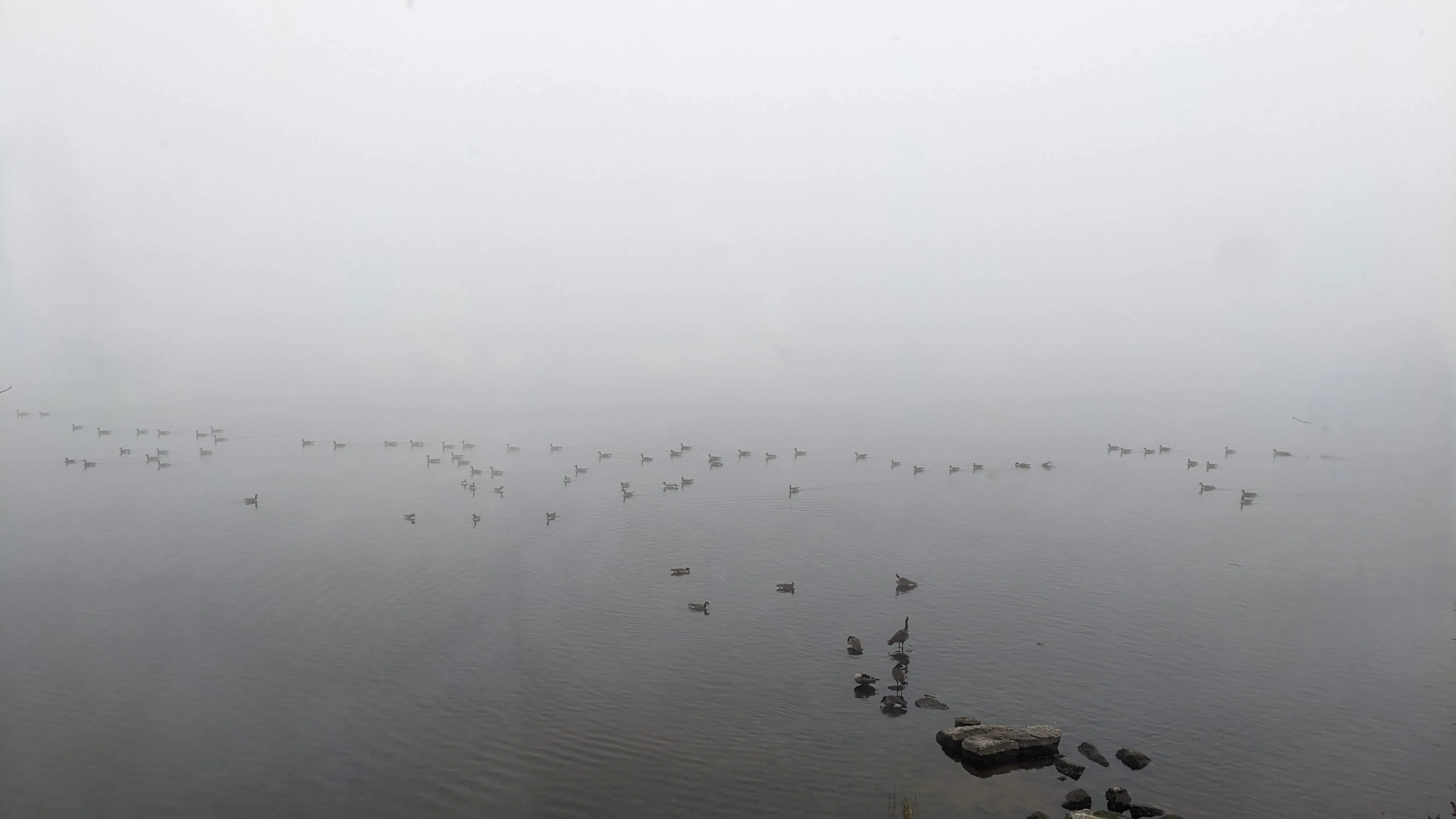 misty river