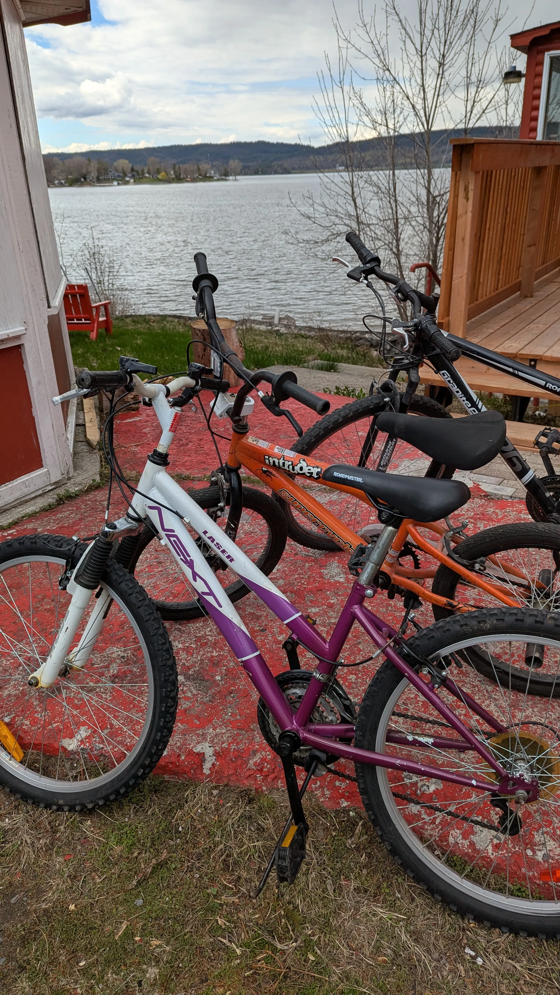 bikes
